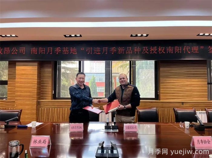 南陽(yáng)月季基地和法國(guó)玫昂月季公司簽約引進(jìn)新品種(圖1)