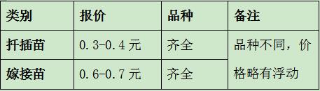南陽月季小苗批發(fā)價格-月季嫁接苗扦插苗報價！(圖2)