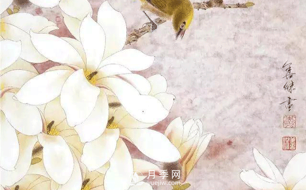 怎樣畫白玉蘭工筆畫，白玉蘭工筆畫詳細步驟(圖1)