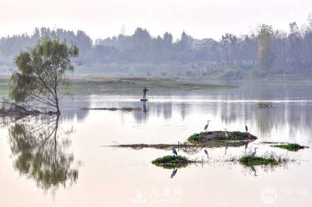 解讀南陽三水三山，助力綠色生態(tài)發(fā)展(圖5)