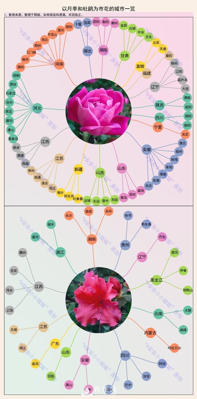 市樹(shù)市花地圖：月季、杜鵑、香樟、國(guó)槐(圖1)