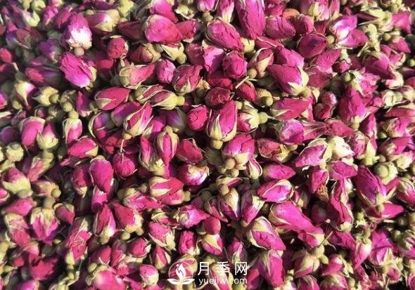 贈人玫瑰，手有余香，怎么看待平陰玫瑰(圖1)