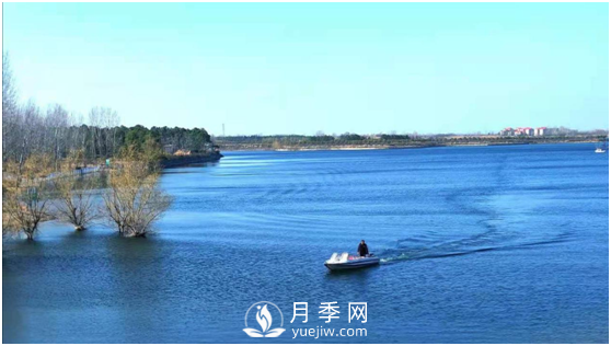 南陽驚蟄時(shí)節(jié)，花紅柳綠又一春(圖4)