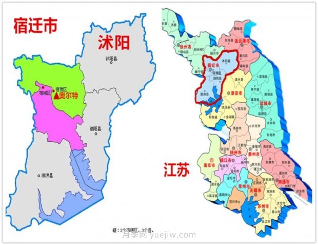 重拳出擊！江蘇沭陽“打假”扣押苗木10萬余株(圖3)