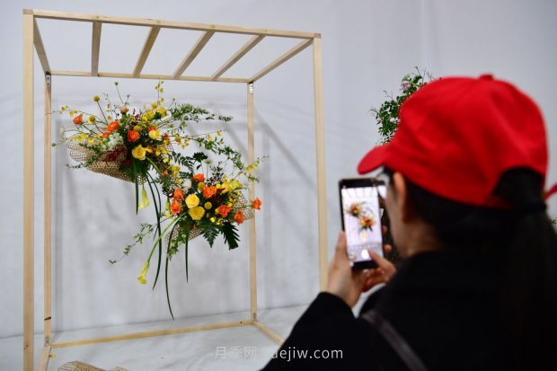 ***走進(jìn)這片花海，南陽(yáng)月季產(chǎn)業(yè)生態(tài)富民(圖6)