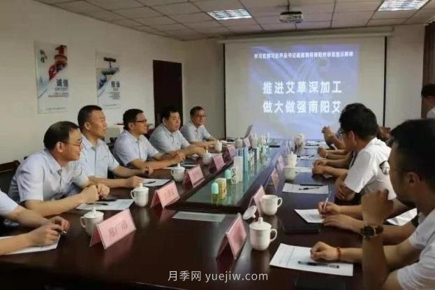 推進艾草深加工，做大做強南陽艾，主題座談會成功召開(圖1)