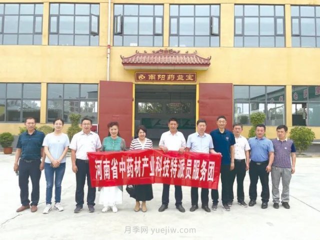 科技創(chuàng)新促進南陽艾草產(chǎn)業(yè)高質(zhì)量發(fā)展(圖1)