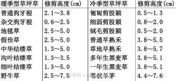 景觀草坪修剪全攻略，實(shí)用干貨分享(圖2)