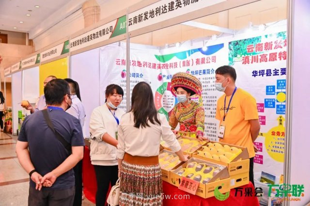 第三屆云果會盛大開幕，助力云南打造世界一流綠色食品牌(圖7)