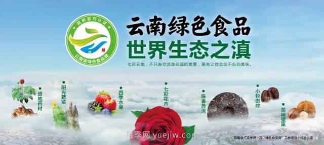 第三屆云果會盛大開幕，助力云南打造世界一流綠色食品牌(圖1)
