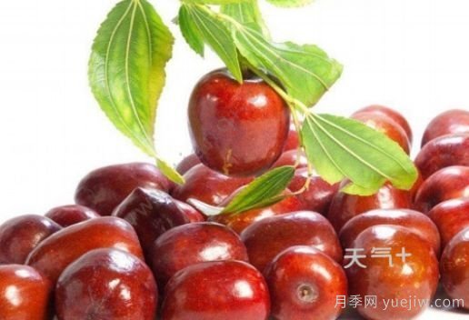 南陽(yáng)市淅川縣的出名特產(chǎn)有哪些？(圖4)