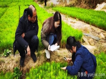 河南林業(yè)局深入南陽(yáng)桐柏縣調(diào)研苗圃產(chǎn)業(yè)