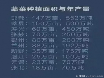 叫響南陽蔬菜品牌，新野蔬菜基地和社旗蔬菜基地打牢基礎(chǔ)