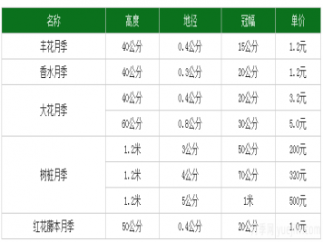 月季花多少錢一株？月季花的繁殖方法和養(yǎng)殖方法