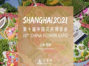 5月，第十屆中國花博會將在崇明拉開帷幕