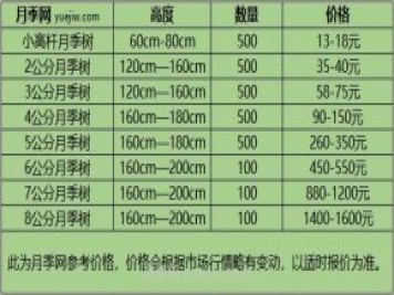1-10公分月季樹價(jià)格是多少？樹狀月季5月報(bào)價(jià)單！