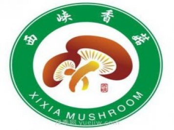 南陽西峽：發(fā)展菌果藥特色產(chǎn)業(yè) 全力推進鄉(xiāng)村振興