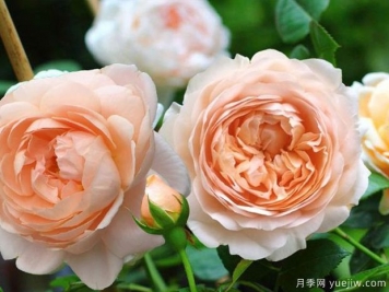 干凈不只是一種氣質(zhì)，也是一個(gè)人的尊嚴(yán)
