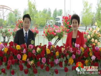 2022年第十三屆南陽(yáng)月季花會(huì)開(kāi)幕，南陽(yáng)電臺(tái)全媒體直播