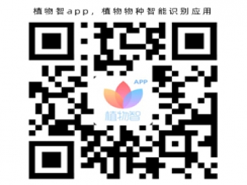 植物智app，植物物種智能識(shí)別應(yīng)用