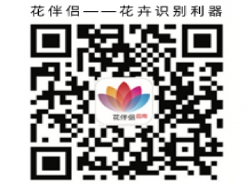 花伴侶app，花卉識(shí)別，花草樹(shù)木呈名