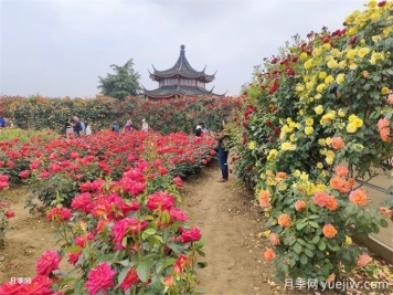 中國(guó)園林八大造景手法