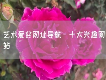 藝術(shù)愛好網(wǎng)址導航_十大興趣網(wǎng)站