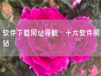 軟件下載網(wǎng)址導航_十大軟件網(wǎng)站