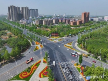 萬株樹狀月季齊綻放，扮靚寧鄉(xiāng)城市新風(fēng)景