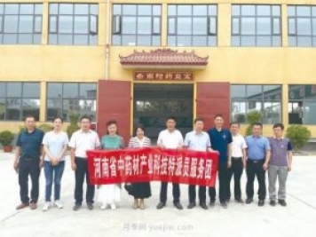 科技創(chuàng)新促進(jìn)南陽艾草產(chǎn)業(yè)高質(zhì)量發(fā)展