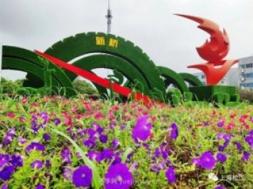 上海松江這里的花壇、花境“上新”啦！特色景觀升級！