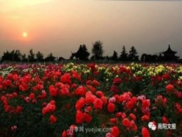 南陽(yáng)自然條件卓越，產(chǎn)業(yè)發(fā)展迅速，獨(dú)享“世界月季名城”稱號(hào)