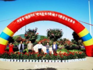 河南省四優(yōu)四化項目 助推南陽月季、梔子產(chǎn)業(yè)發(fā)展