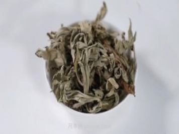 南陽艾草產(chǎn)業(yè)蓬勃發(fā)展的背后原因是為什么？