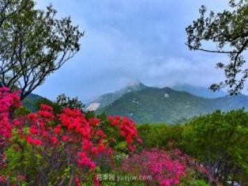 桐柏縣，淮河之源 坐標(biāo)桐柏山