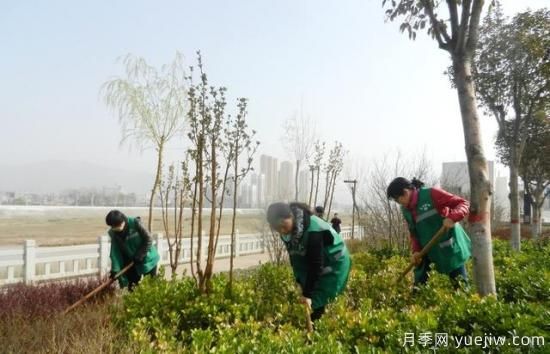 如何做園林的綠化養(yǎng)護(hù)工作？(圖6)