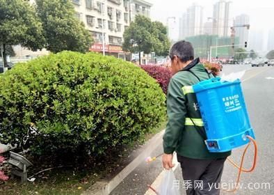 如何做園林的綠化養(yǎng)護(hù)工作？(圖7)