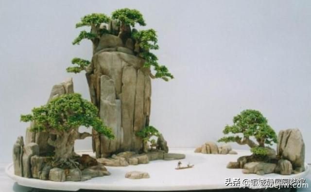 什么是山水盆景？山水盆景的形式有哪些？(圖2)