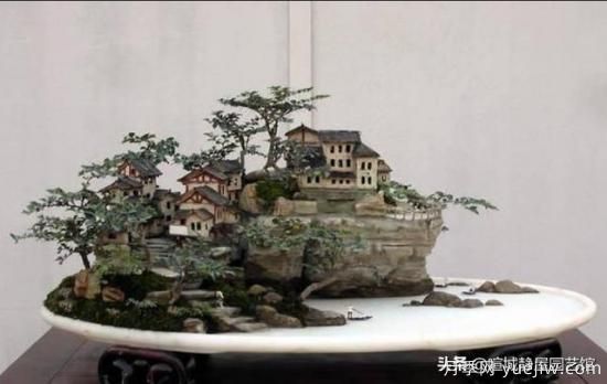 什么是山水盆景？山水盆景的形式有哪些？(圖1)