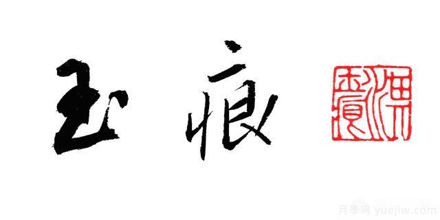 月季大藤本和小藤本都有哪些品種？栽種方式有沒(méi)有區(qū)別？(圖4)