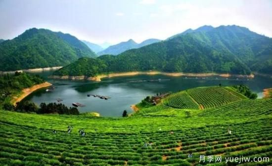 河南人口**大縣是誰？鄧州常住人口超124萬人，還是固始縣(圖2)