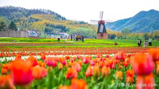 河南人口**大縣是誰？鄧州常住人口超124萬人，還是固始縣(圖1)