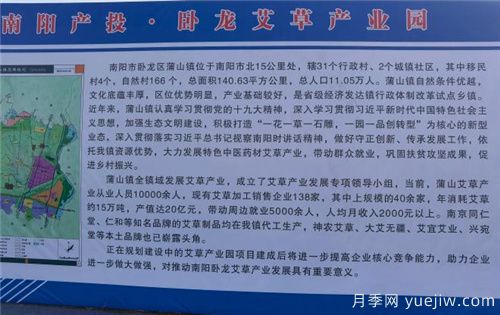 南陽產(chǎn)投臥龍艾草產(chǎn)業(yè)園項目開工奠基儀式舉行(圖2)