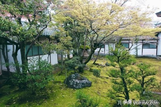 冬季植物應(yīng)該怎么打理，才能來(lái)年依舊繁花似錦(圖2)