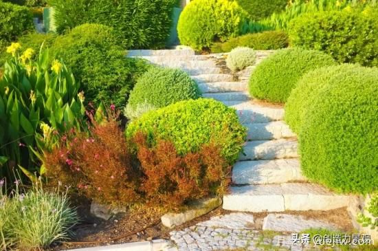 冬季植物應(yīng)該怎么打理，才能來(lái)年依舊繁花似錦(圖3)