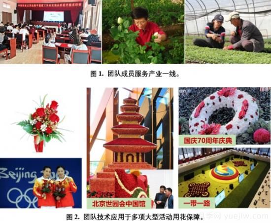 中國農(nóng)大鮮花品控團(tuán)隊(duì)助推花卉種質(zhì)創(chuàng)新與供應(yīng)鏈技術(shù)升級(圖1)