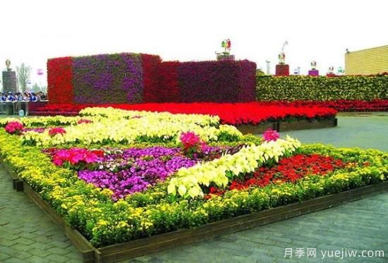 城市園林中美麗的花壇是如何設(shè)計(jì)制作的？(圖2)