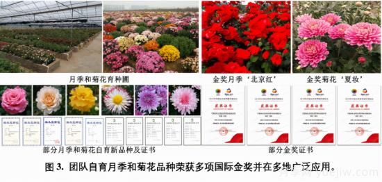 中國農(nóng)大鮮花品控團(tuán)隊(duì)助推花卉種質(zhì)創(chuàng)新與供應(yīng)鏈技術(shù)升級(圖2)