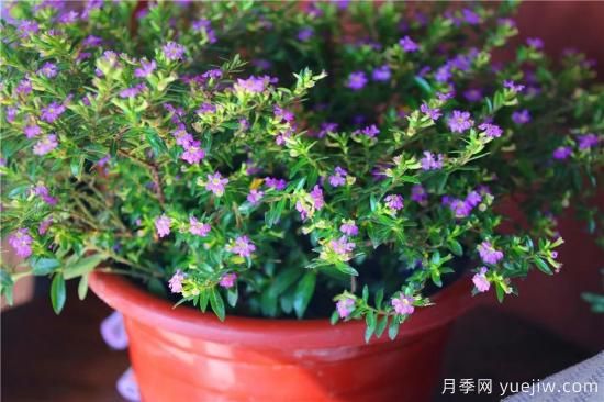 “厚德載物”是哪幾德，你知道嗎？漲知識！(圖1)