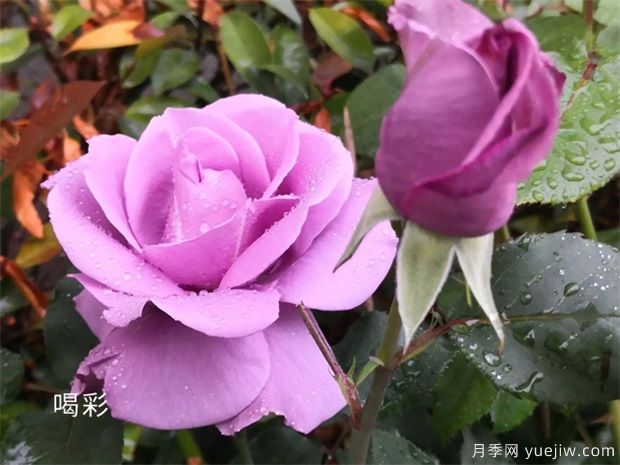 想要獲得突破性成長(zhǎng)，要打破思維的墻(圖1)